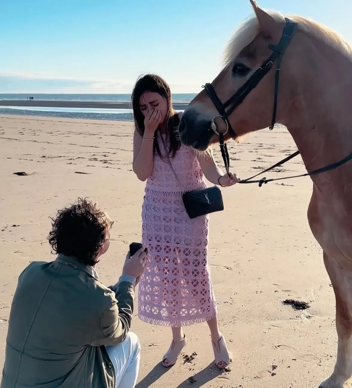 Ein Heiratsantrag am Strand bei einem Pferd
