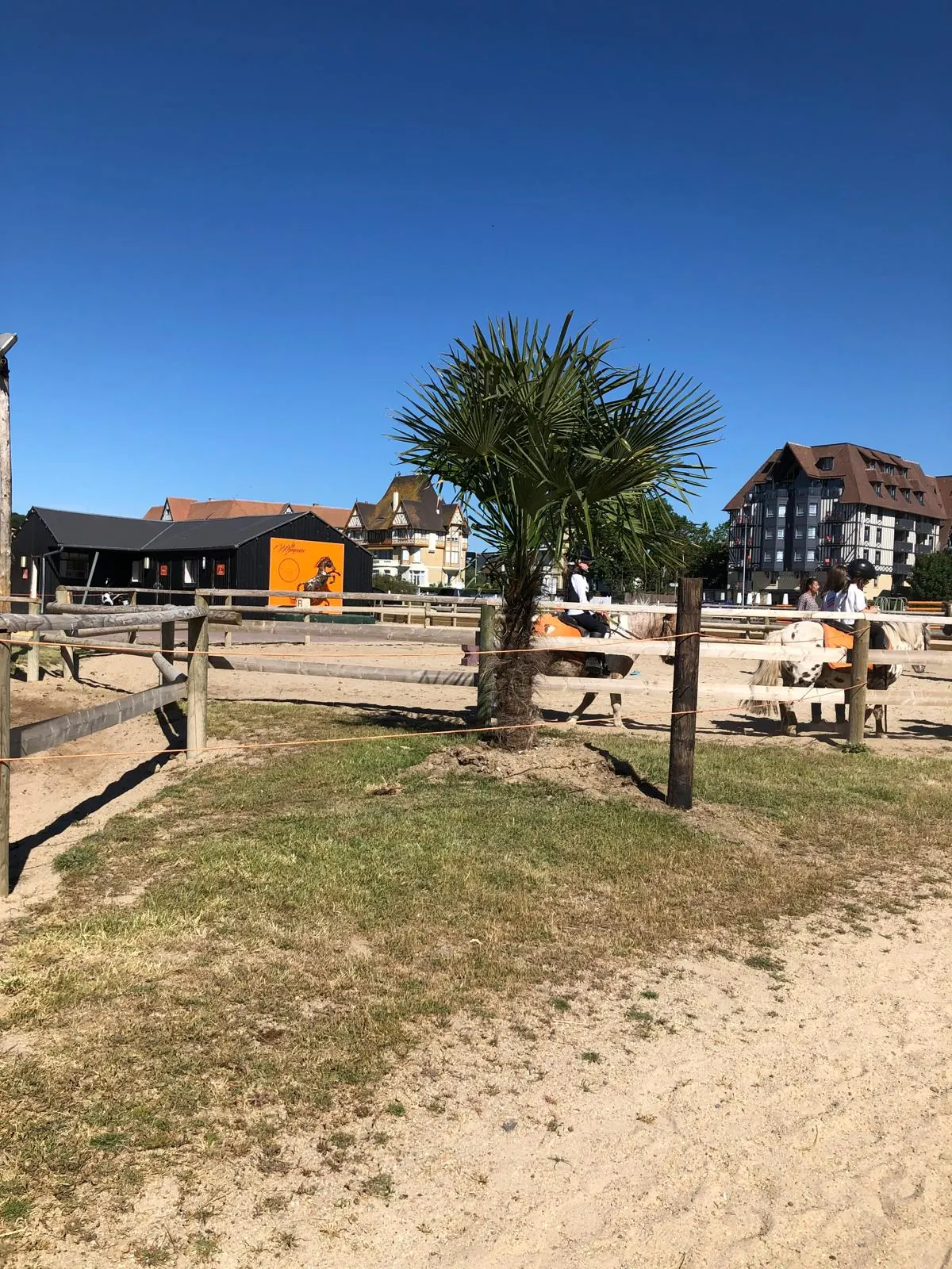 La vie du club entre poneys et palmiers